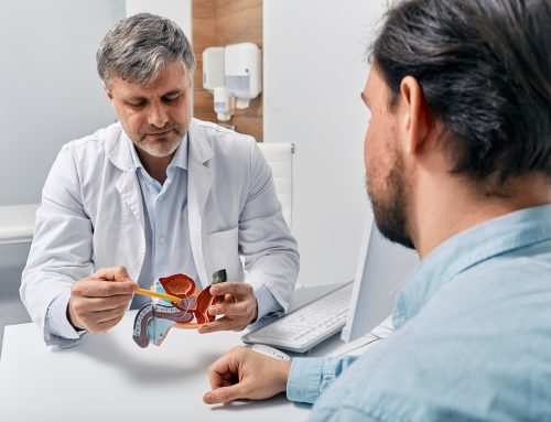 Male fertility: why it is also important to consider the male factor
